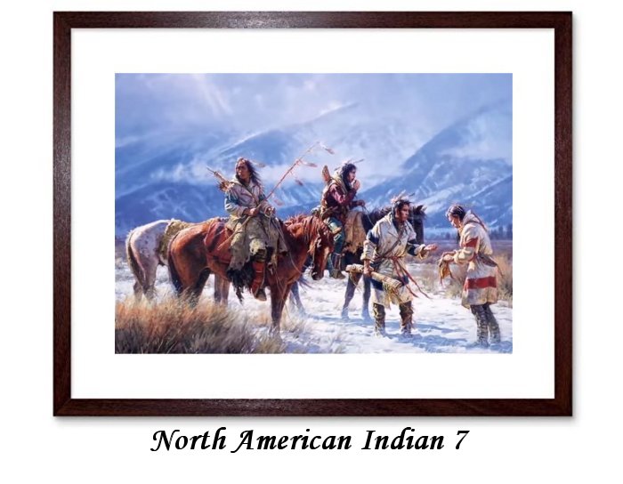 North American Indian Framed Prints